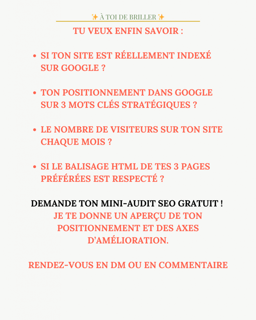 mini audit seo offert